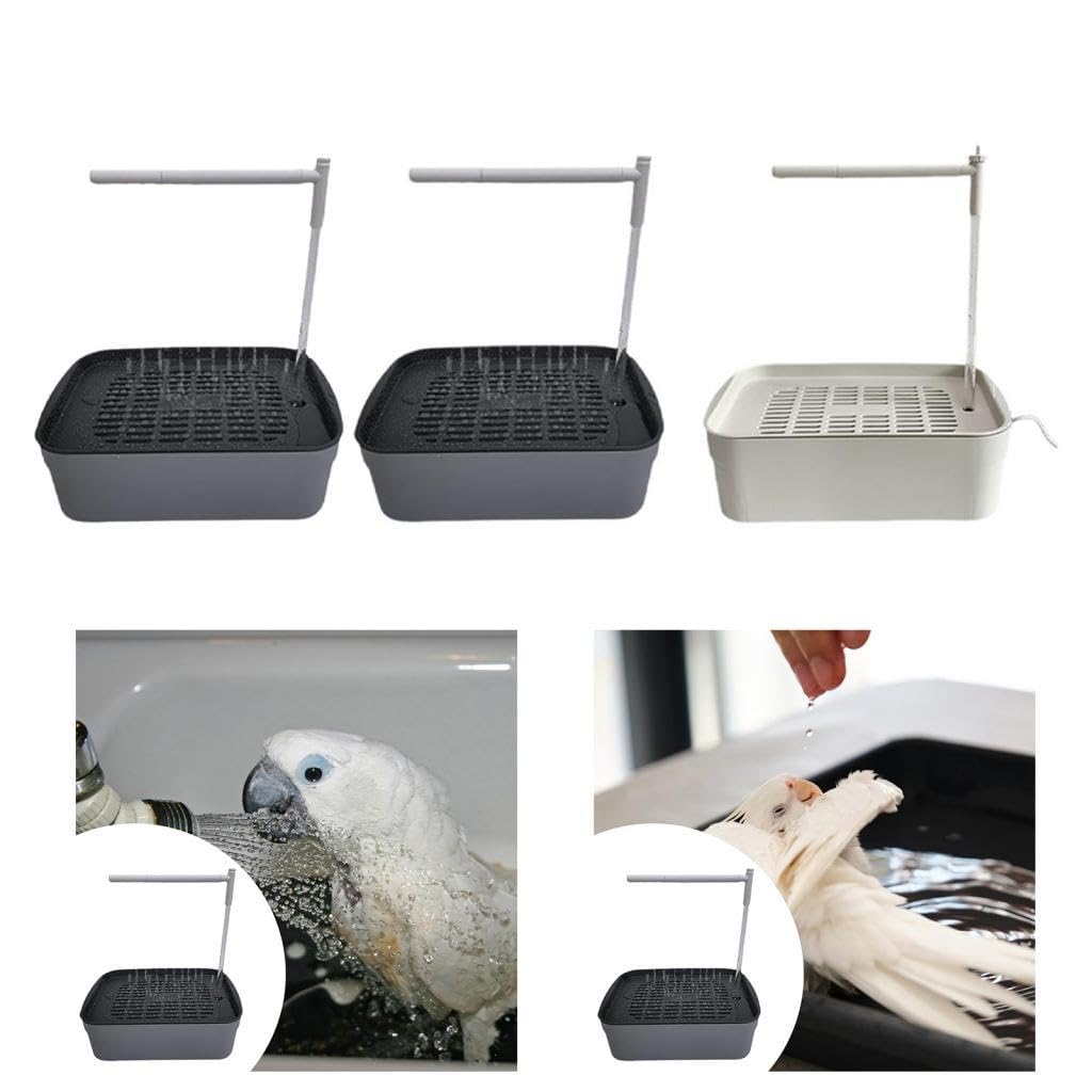 Baño automático para pájaros