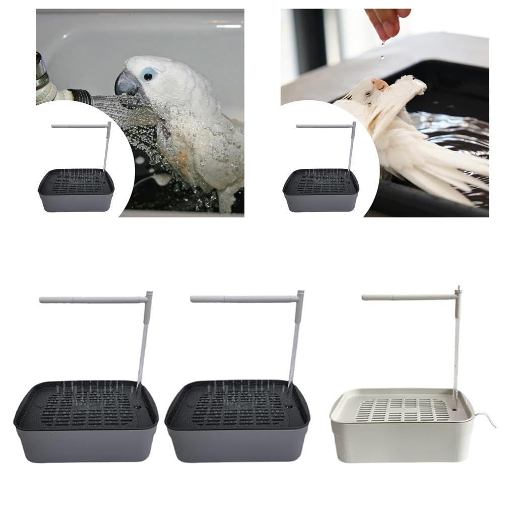 Baño automático para pájaros