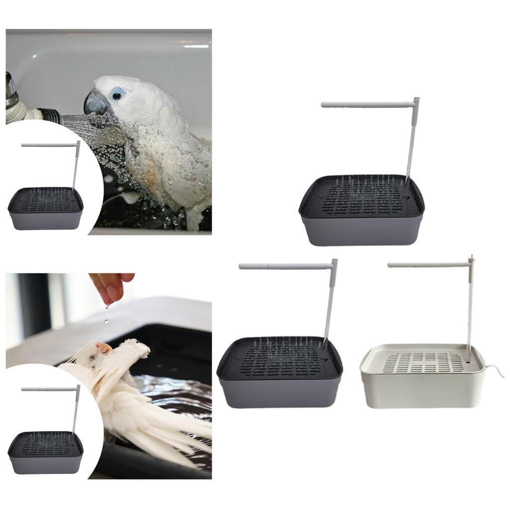 Baño automático para pájaros