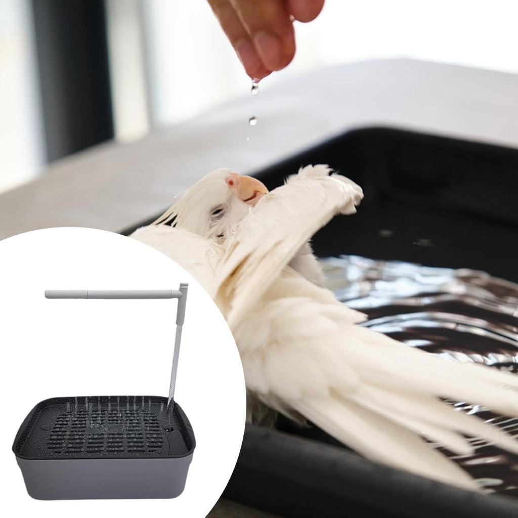 Baño automático para pájaros