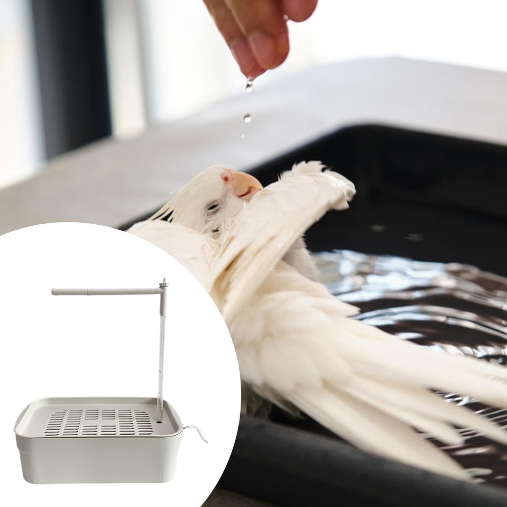 Baño automático para pájaros