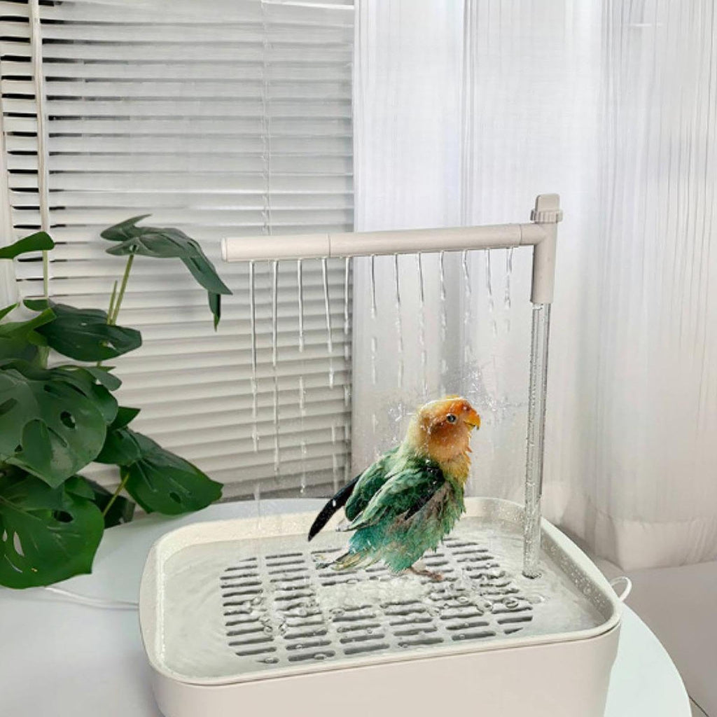 Baño automático para pájaros