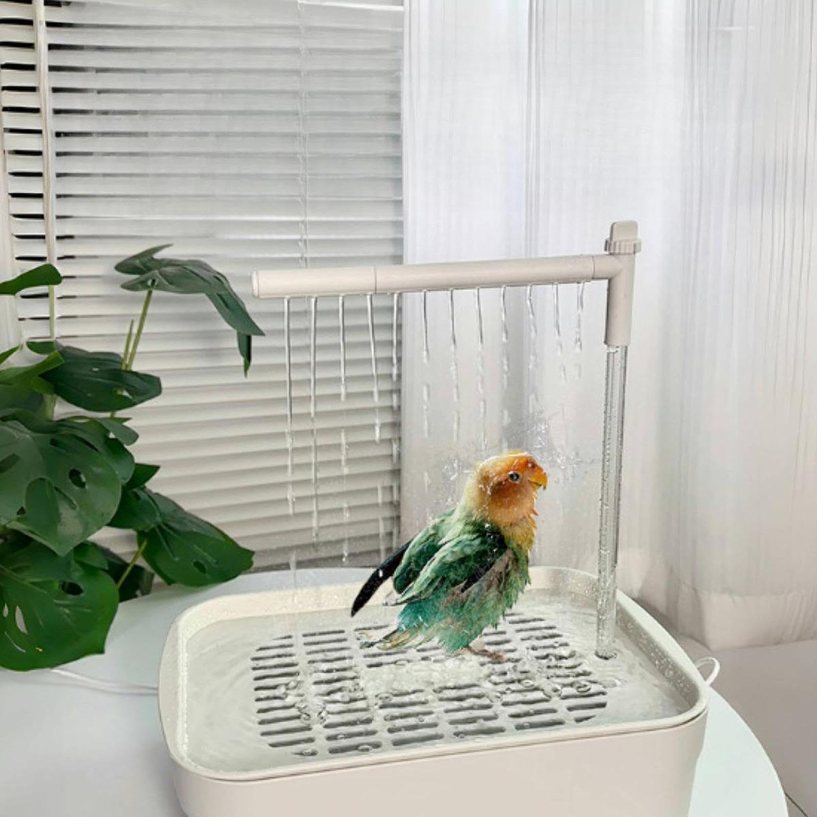 Baño automático para pájaros