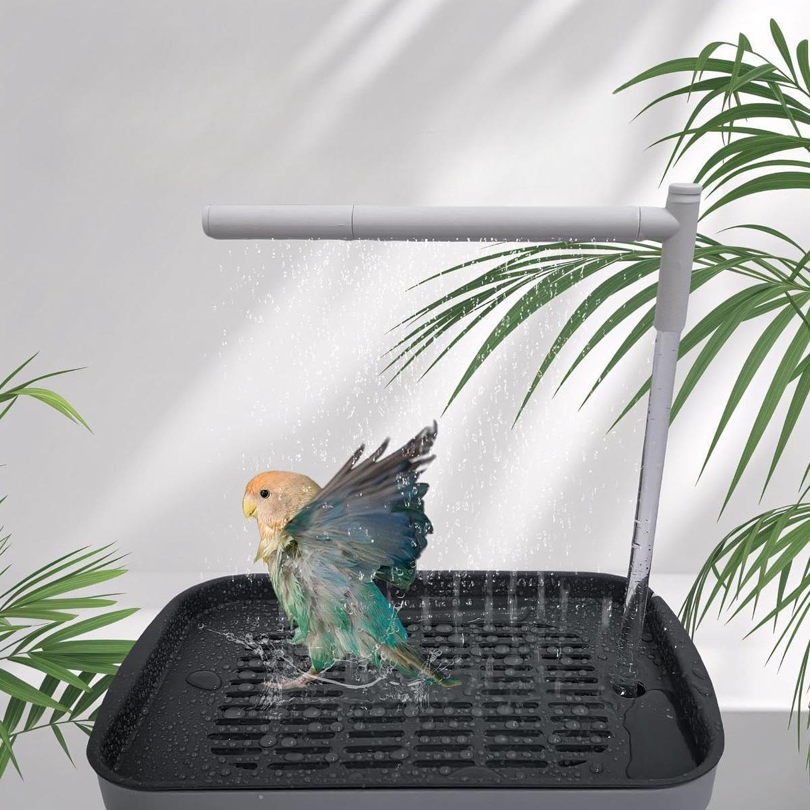 Baño automático para pájaros