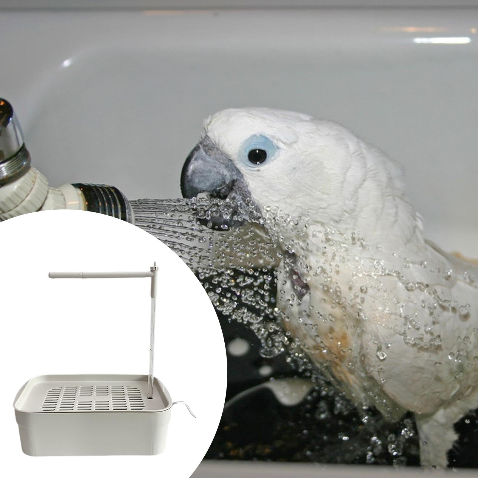 Baño automático para pájaros