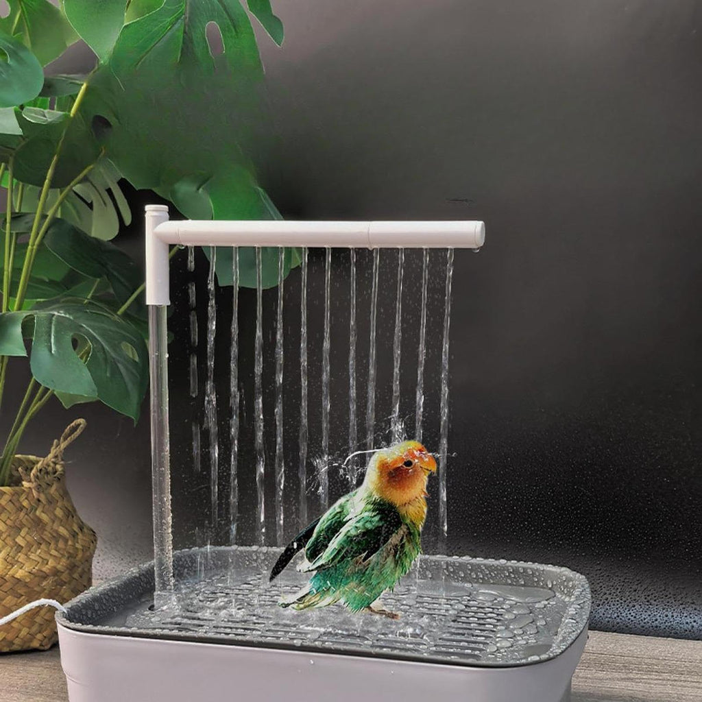 Baño automático para pájaros