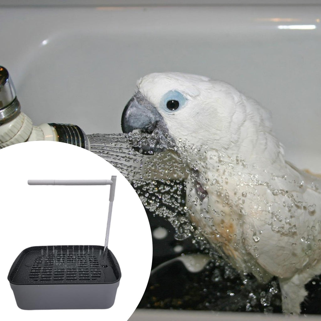 Baño automático para pájaros