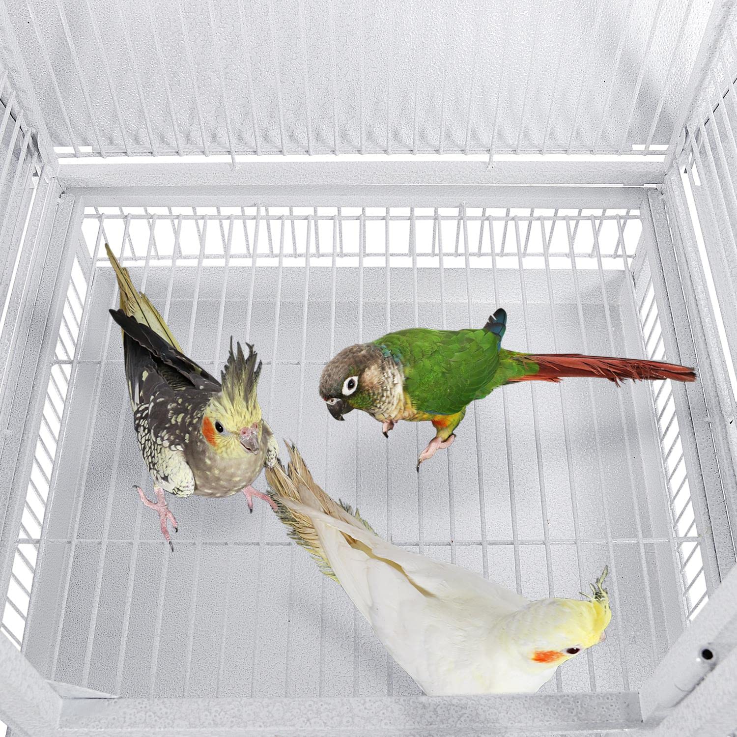 Jaula para Pájaros