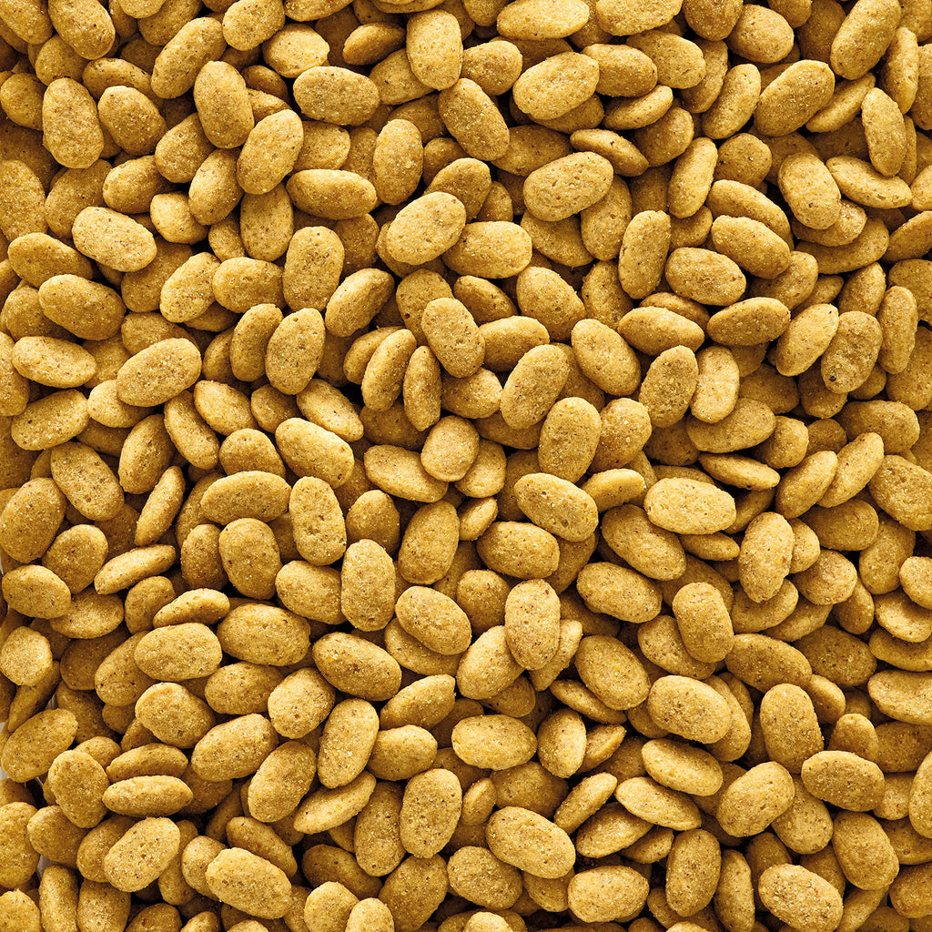 VERSELE-LAGA - NutriBird P15 Original - Granulado extrusionado - Alimento de Mantenimiento para Loros - Monocolor - 10kg