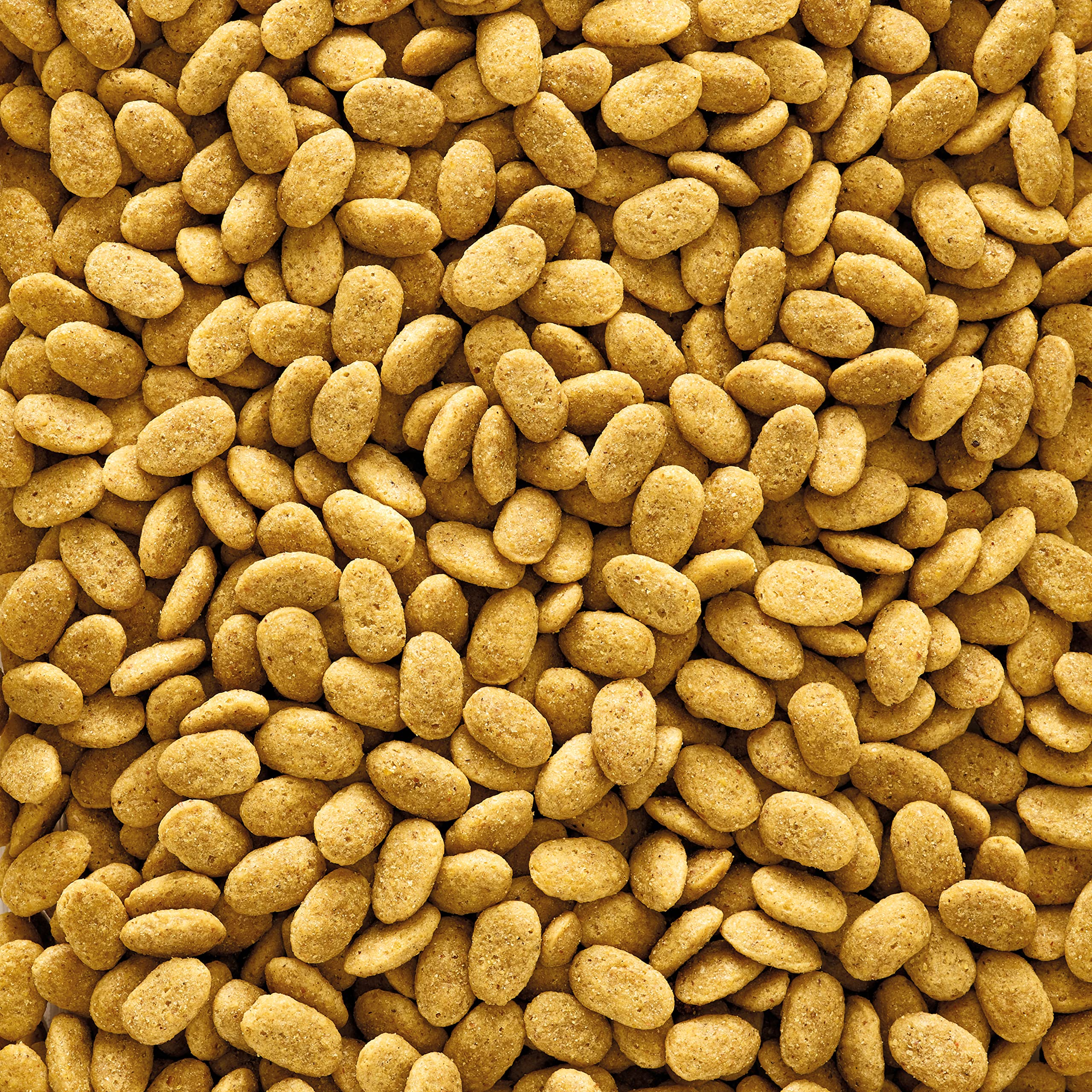 VERSELE-LAGA - NutriBird P15 Original - Granulado extrusionado - Alimento de Mantenimiento para Loros - Monocolor - 10kg